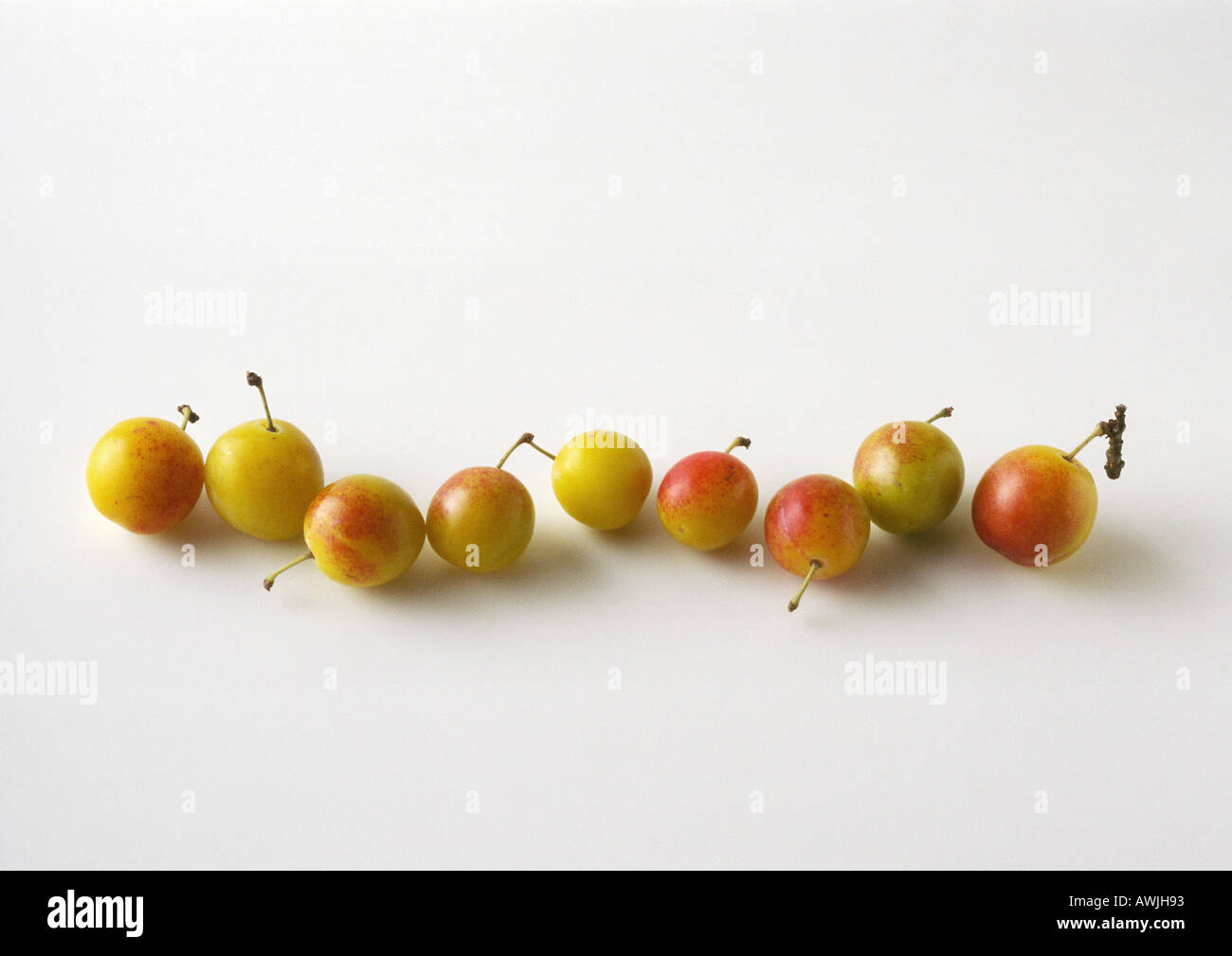 Mirabelle plums in line Stock Photo