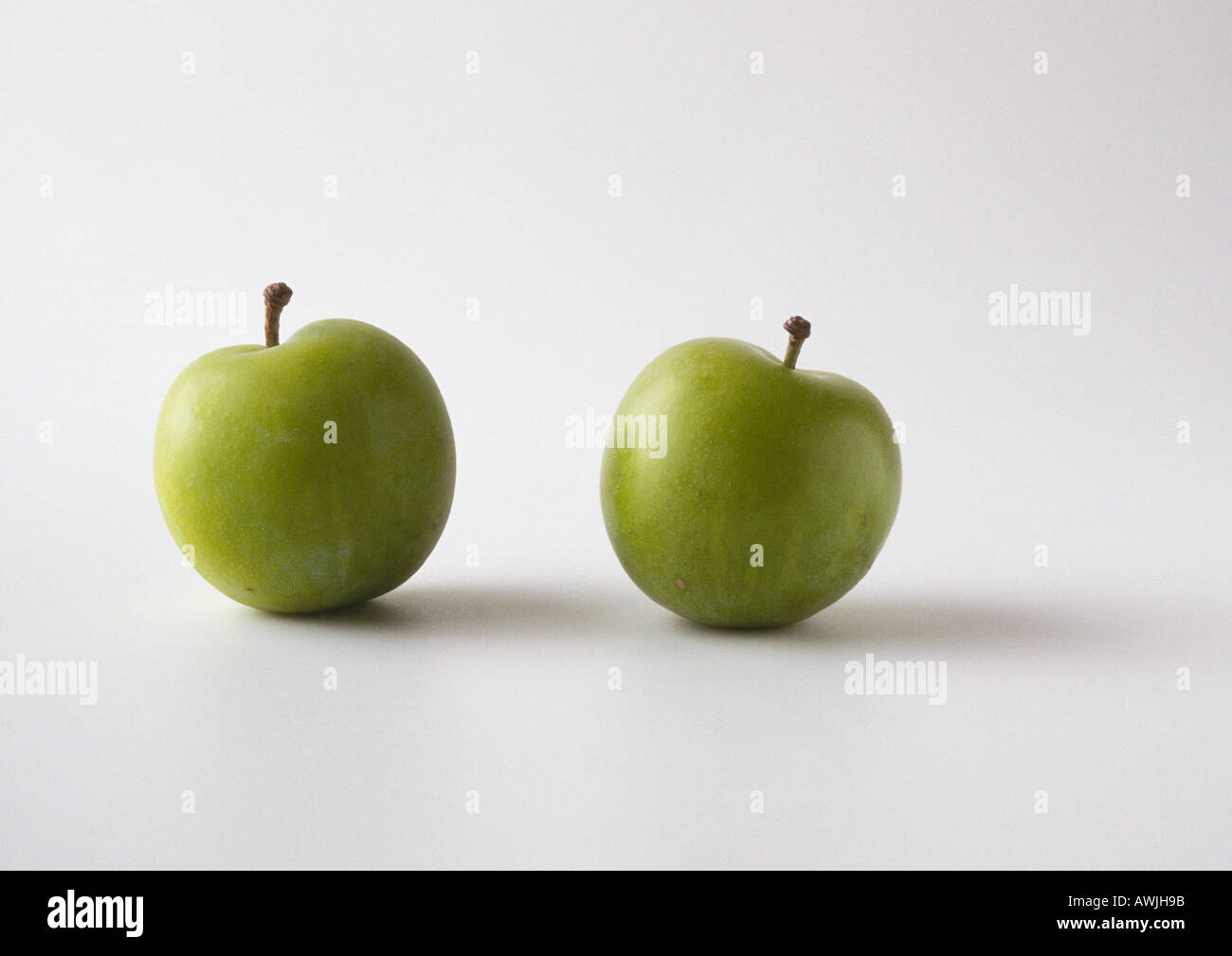 Greengage plums Stock Photo