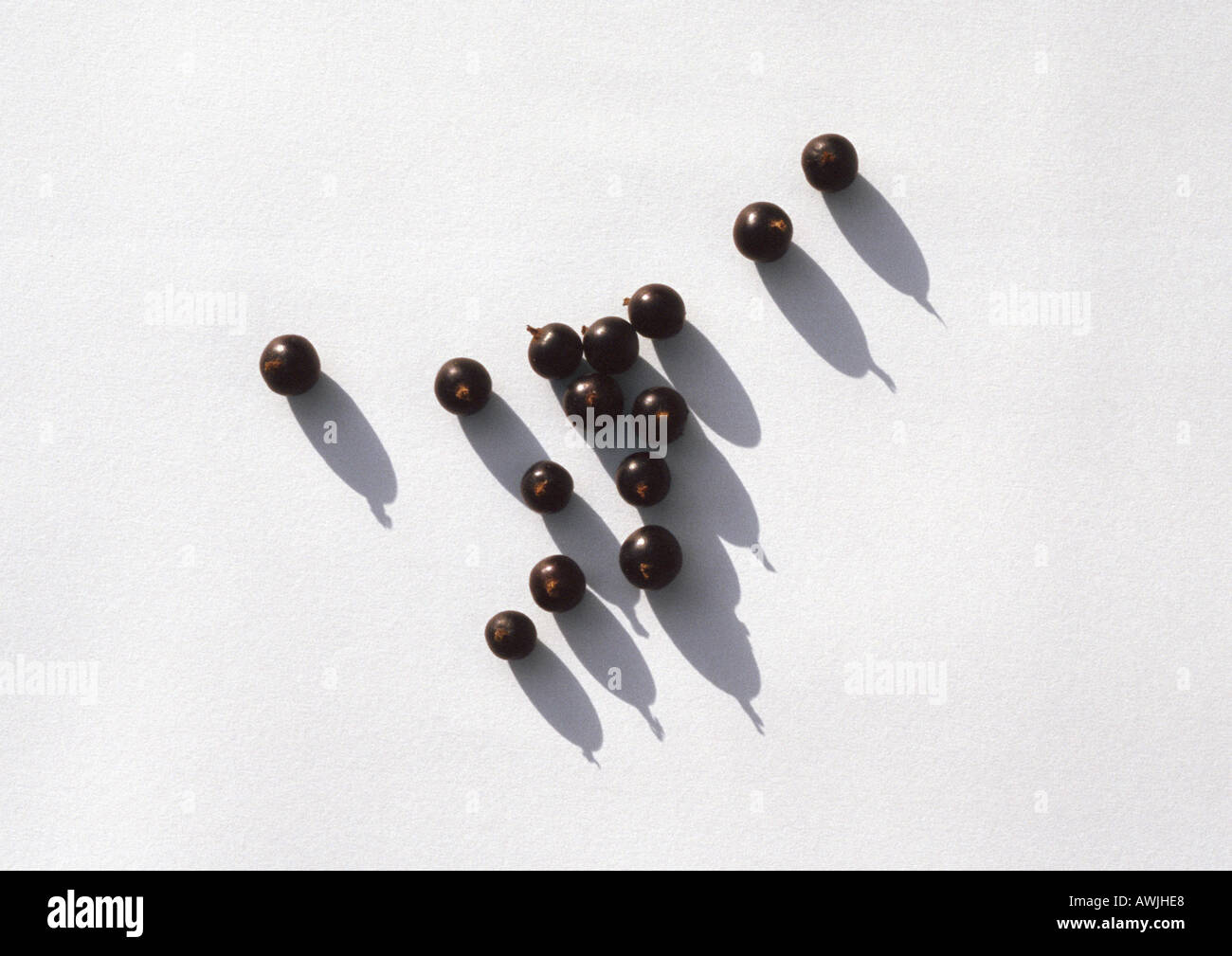 Blackcurrants against white background Stock Photo