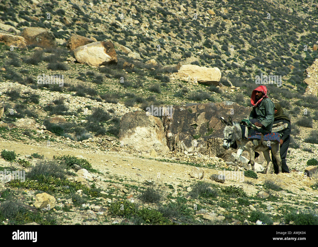 Donkey Ridng Man riding donkey in arid landscape, Jordan Stock Photo - Alamy