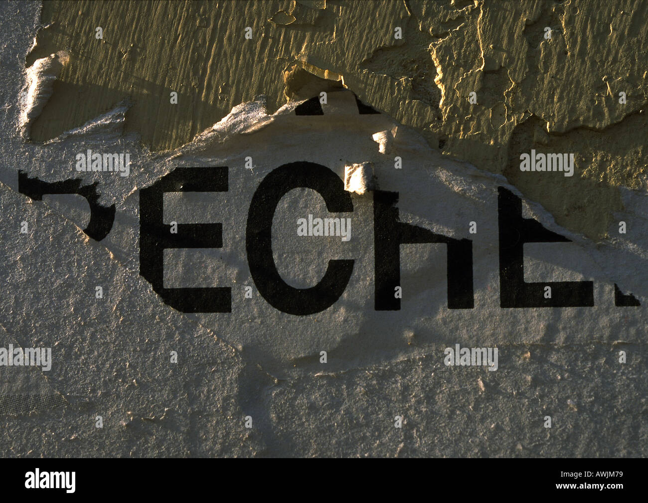 Typography on torn paper Stock Photo - Alamy