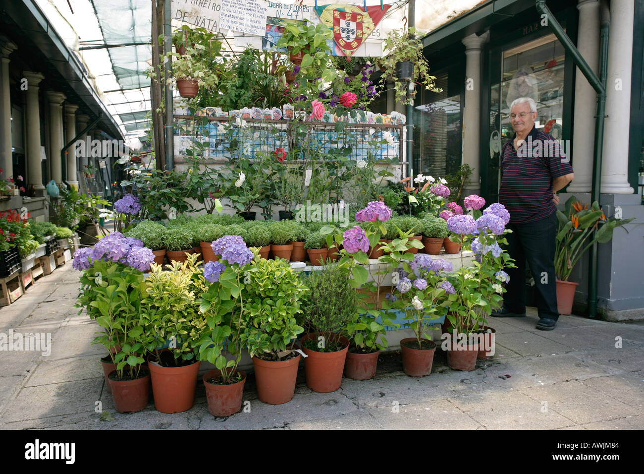 A shop owner shows the flowers and plants on display in the covered market called Bolhão Stock Photo