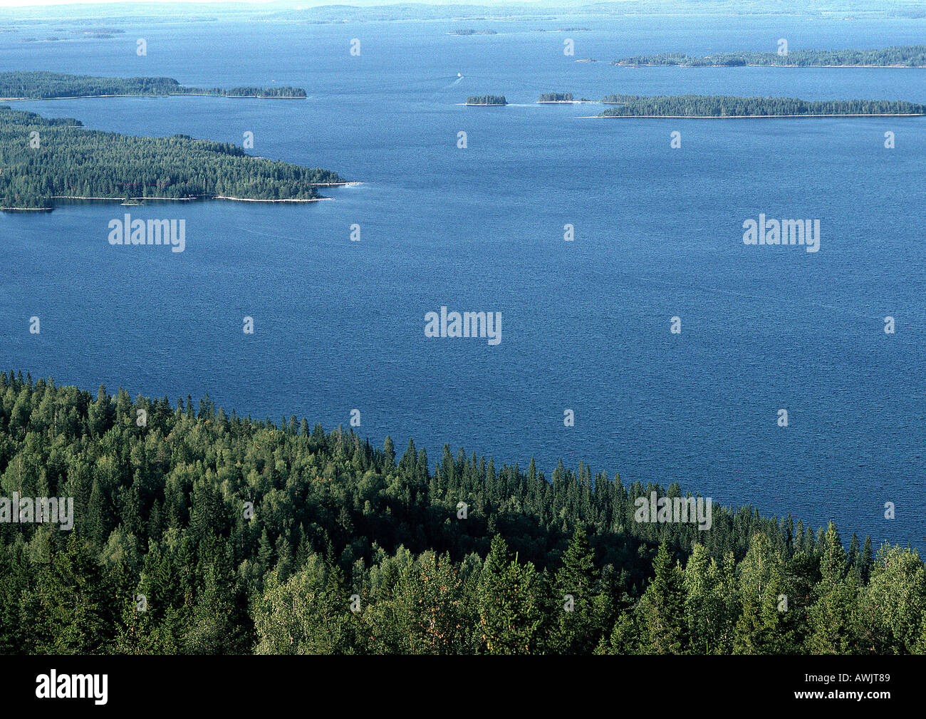 Evergreen coastal forest hi-res stock photography and images - Alamy