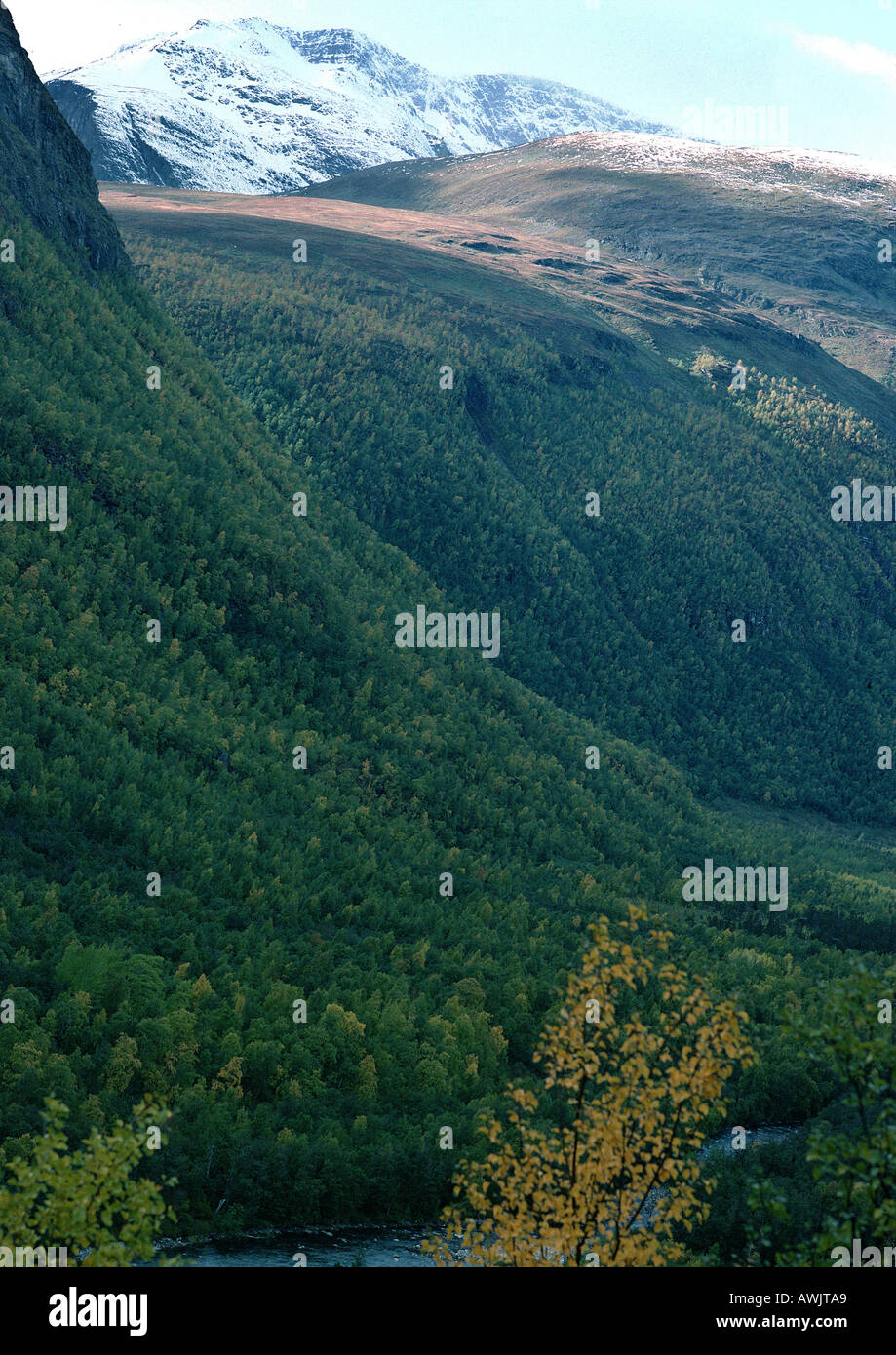Beautiful close up shot mountain hi-res stock photography and images ...