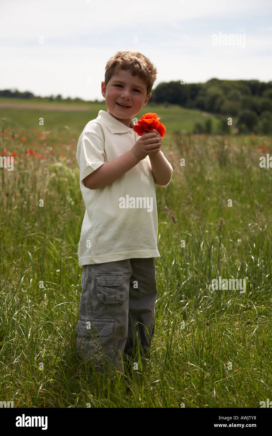Boy child in poppy field holding poppy on Temple Island near Henley on ...