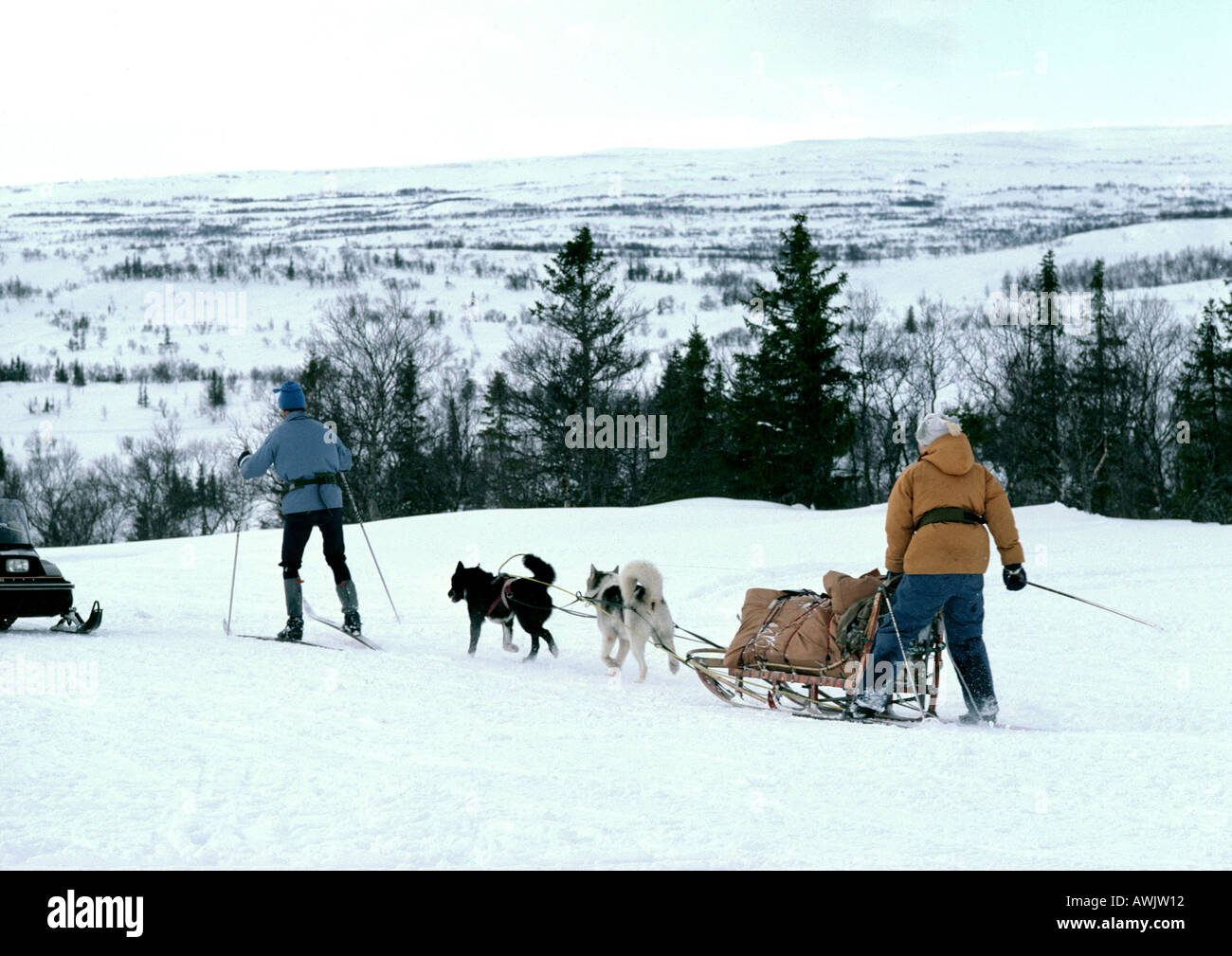 Sweden, sleddogs pulling sled and people on cross country skis in snow