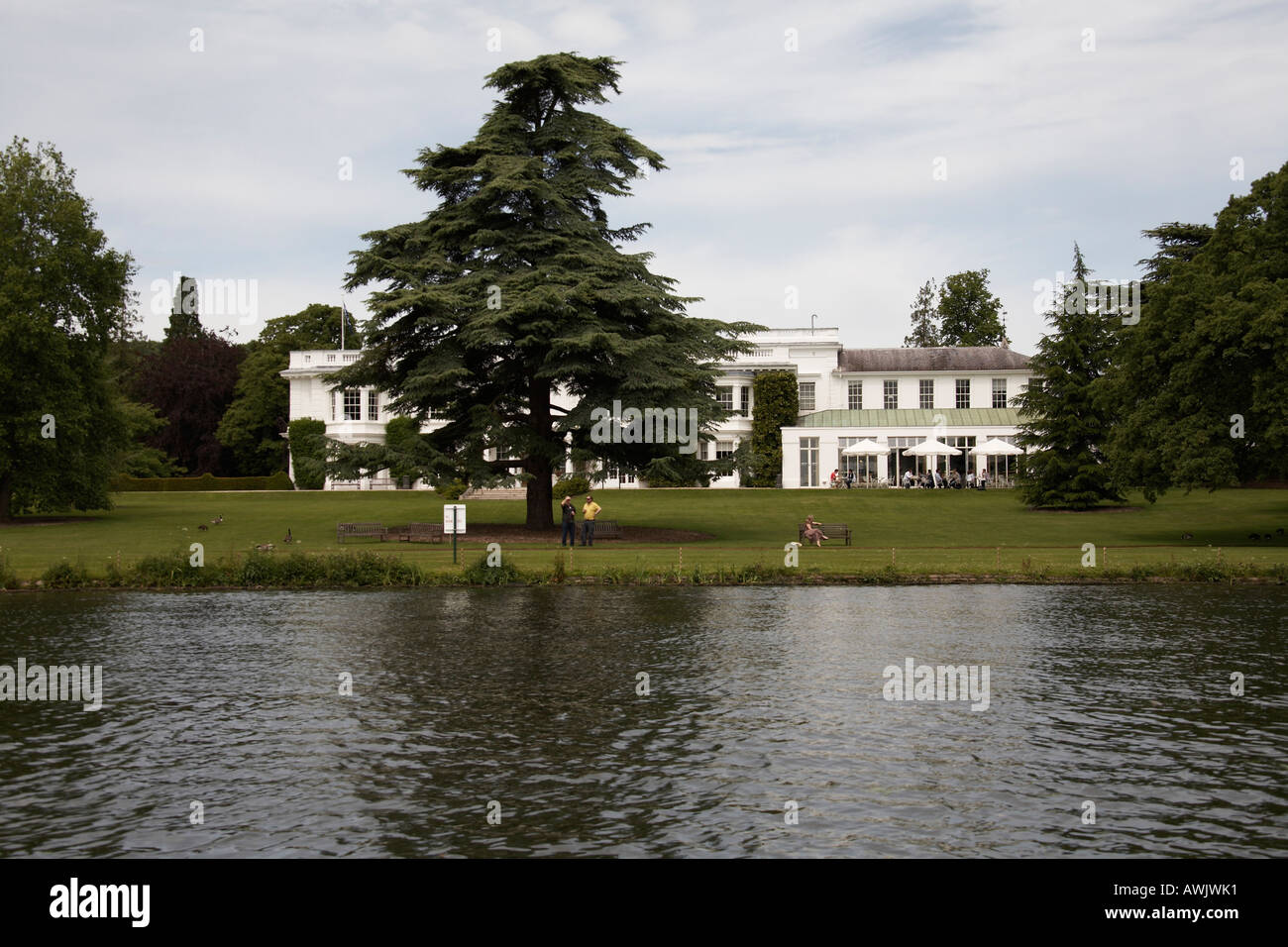 Grand beautiful luxury expensive white residential house or home with large tree in gardens near