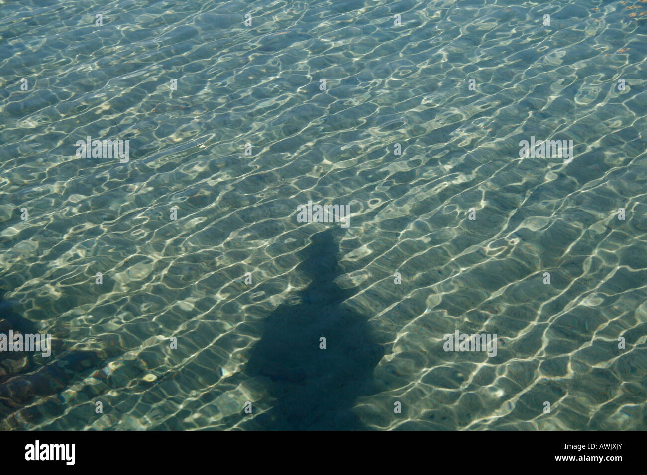 person’s shadow in water Stock Photo - Alamy