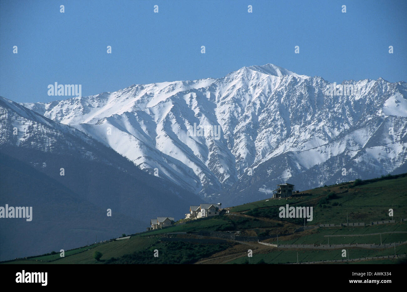 Pasture in front of mountain peak, Alam Kooh, Alborz Mountain Range, Iran Stock Photo