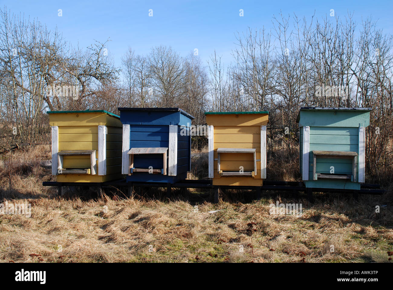 Bee hives house sweden hi-res stock photography and images - Alamy