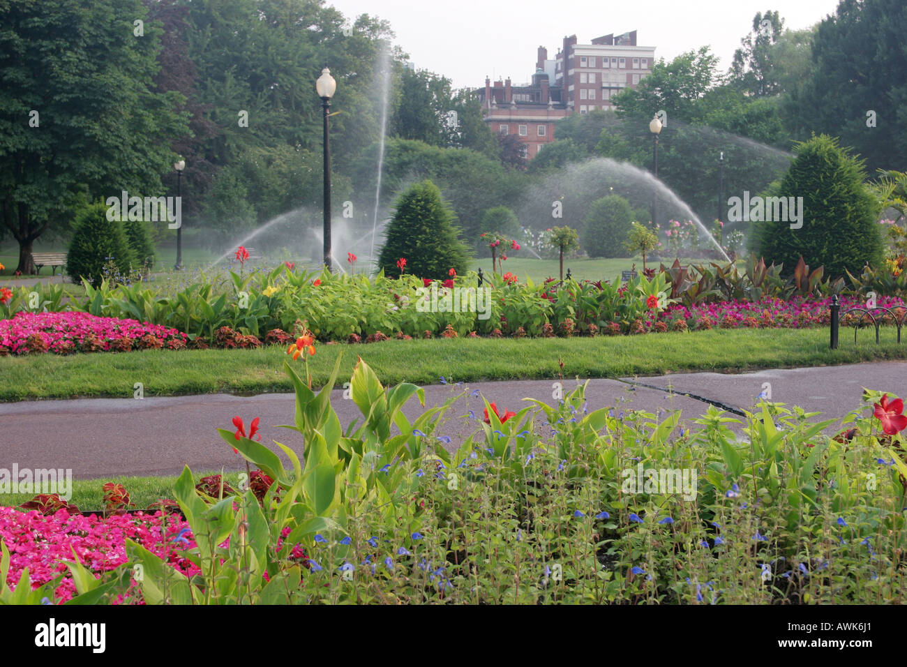 Sprinklers in early morning in Boston Public garden Boston