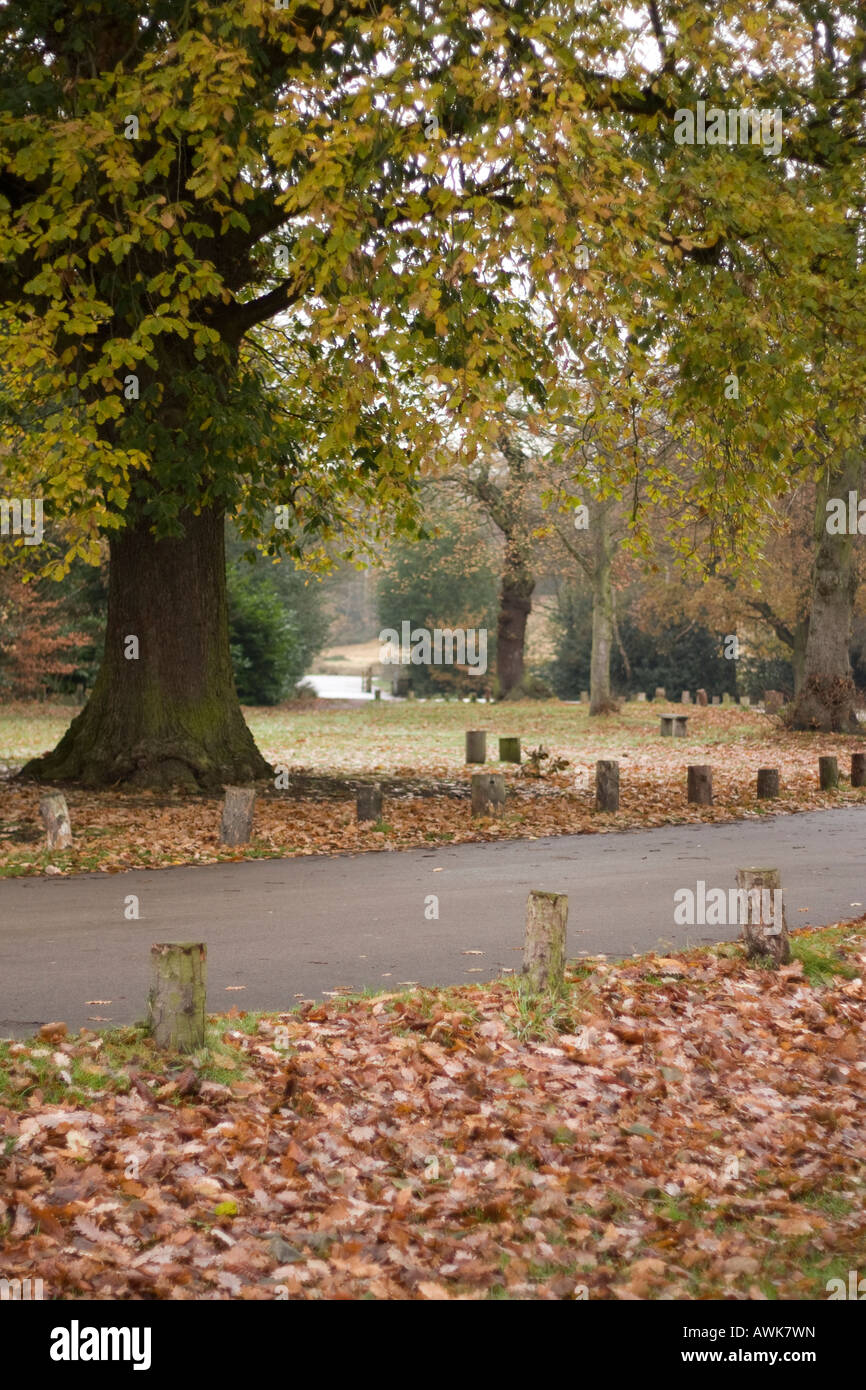 Sutton Park, Birmingham UK Stock Photo - Alamy