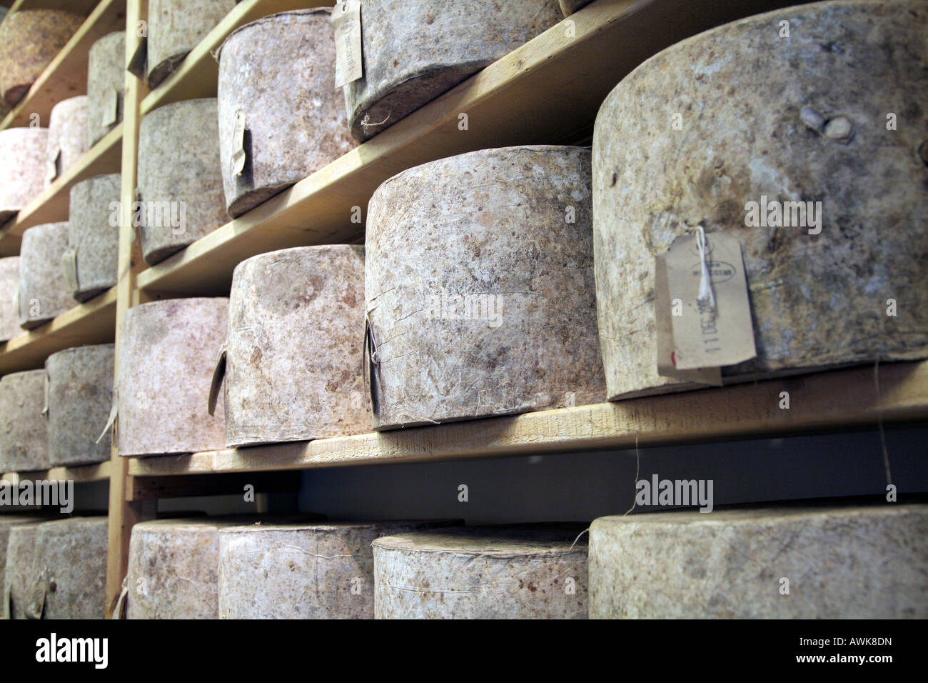 Cheeses on display at Neals Yard Dairy, Borough Market, south east London. Stock Photo