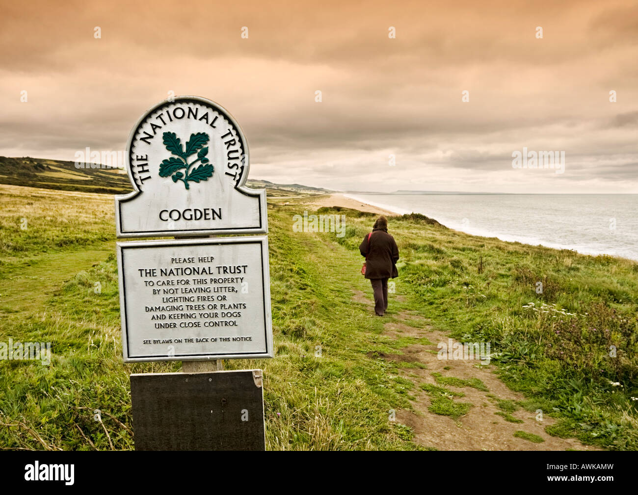 Woman walking along cliffs at Cogden Beach at Burton Bradstock, Dorset coast, England, UK with NT sign Stock Photo