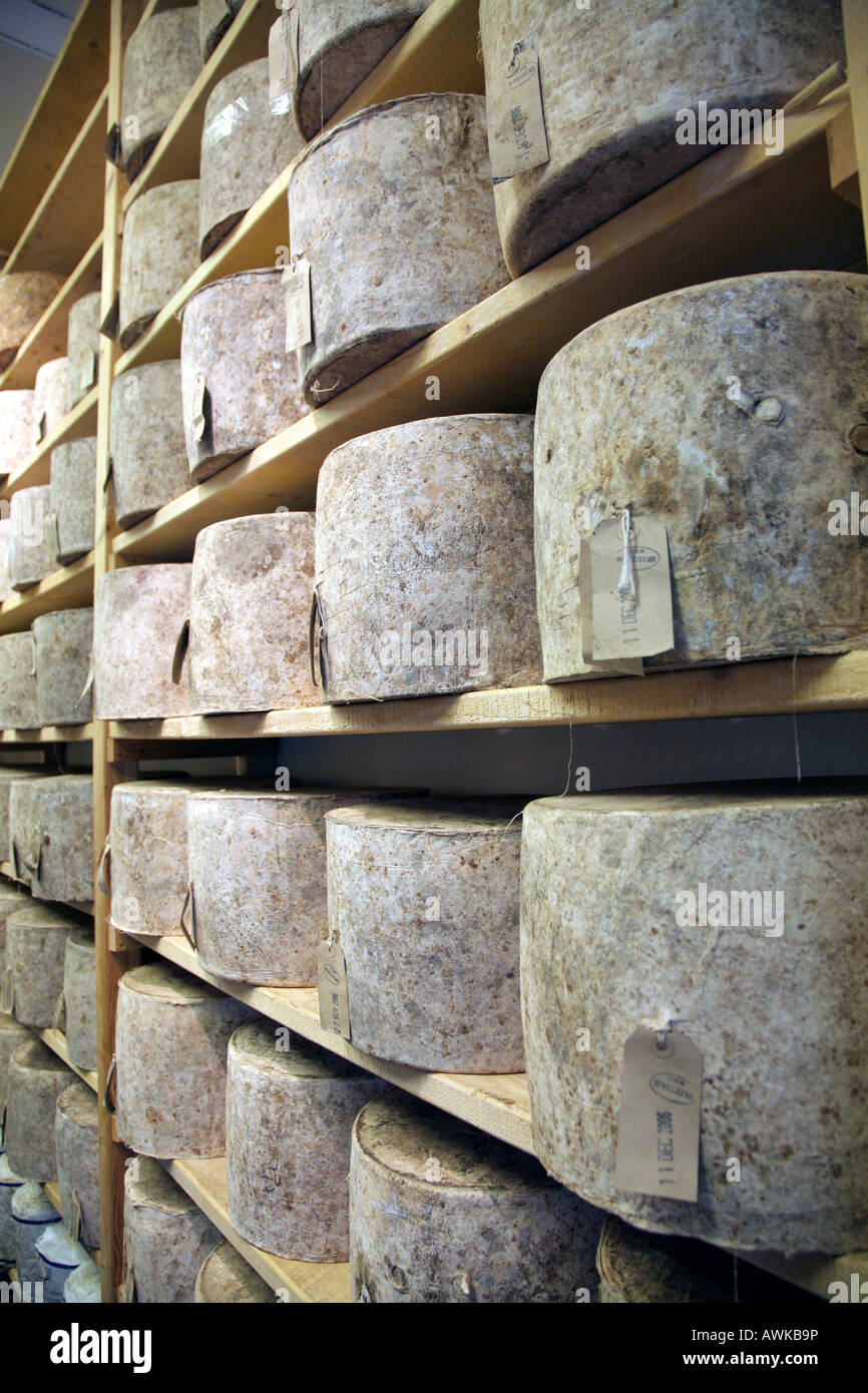 Cheeses on display at Neals Yard Dairy, Borough Market, Southwark, south east London Stock Photo