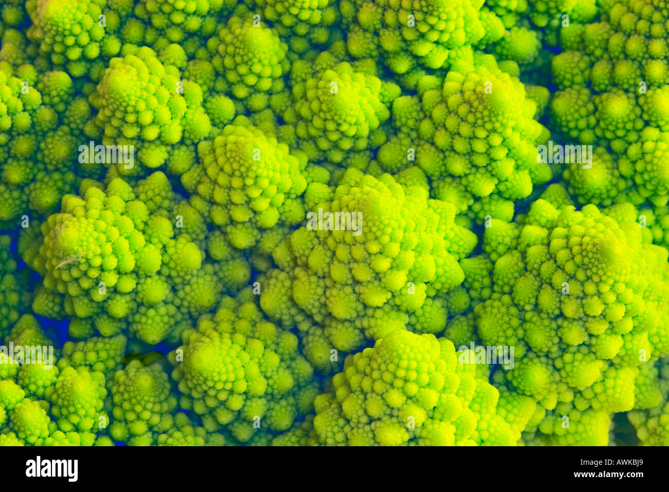 Romanesco broccoli cauliflower illustrating fractal shapes in nature Stock Photo