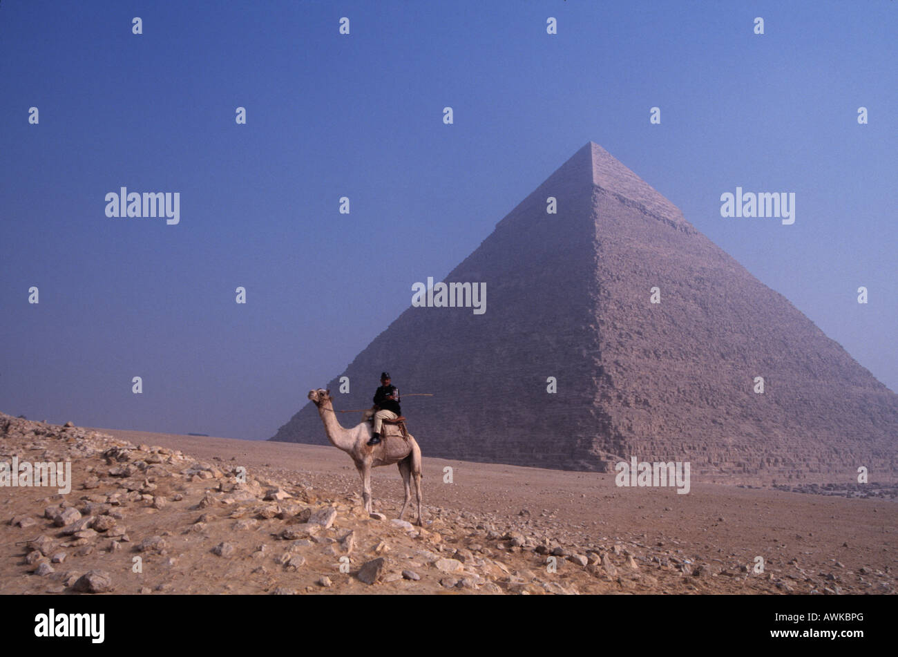 Pyramid and guard on a camel, Egypt Stock Photo