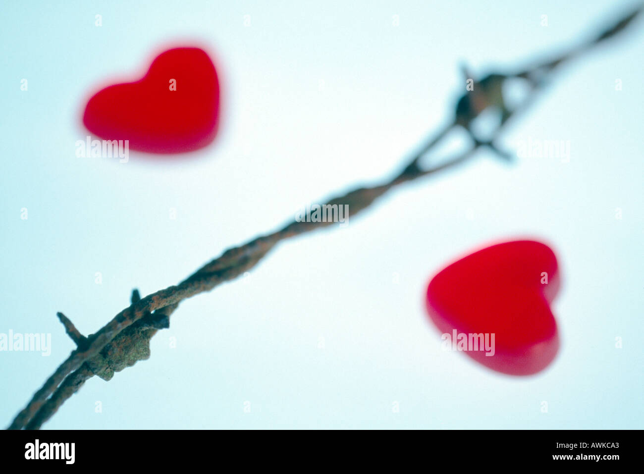 Close-up of barbed wire and two heart shapes Stock Photo