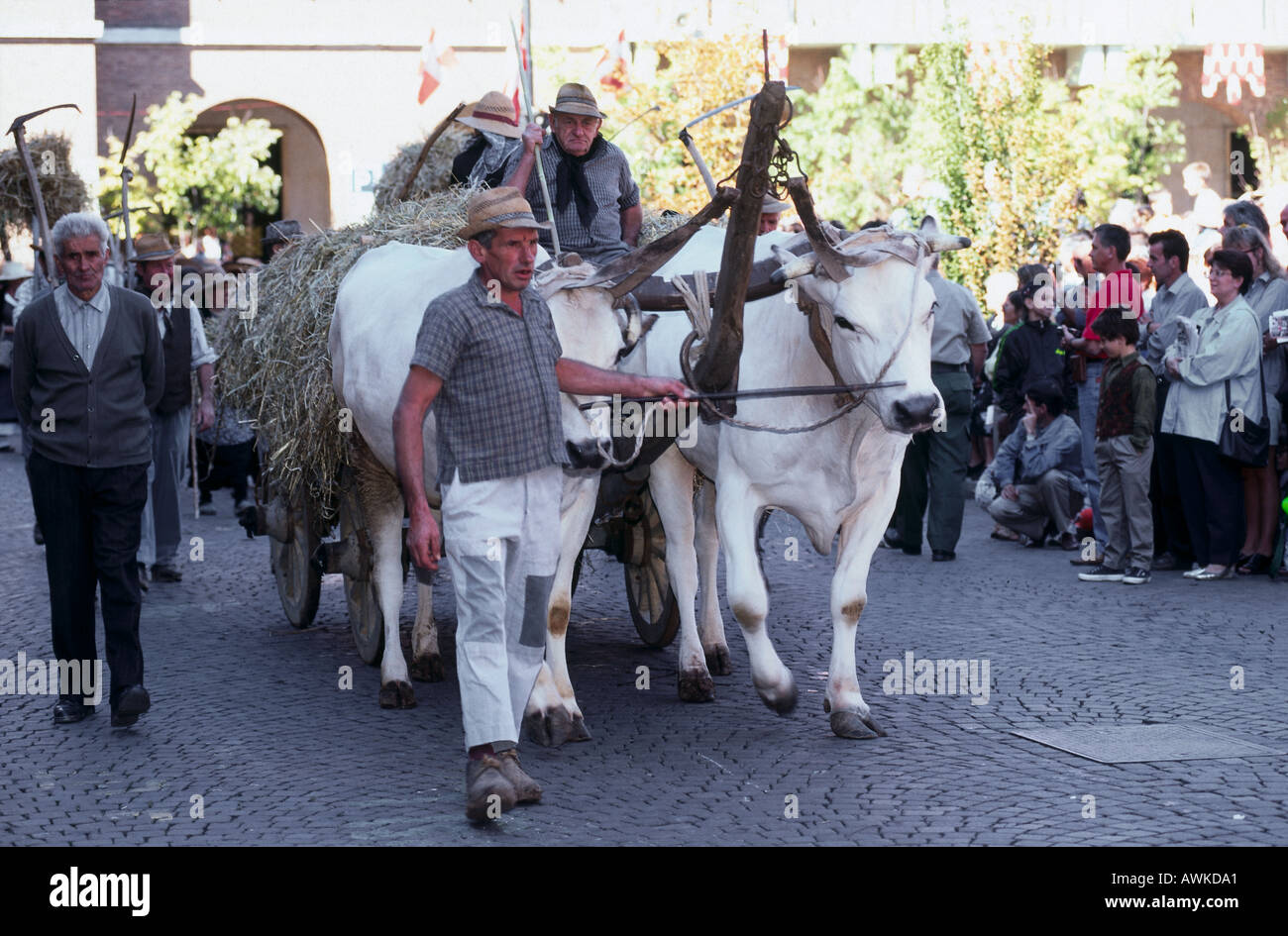 People in costumes with ox cart during festival, Festival delle Sagre, Asti, Piedmont, Italy Stock Photo