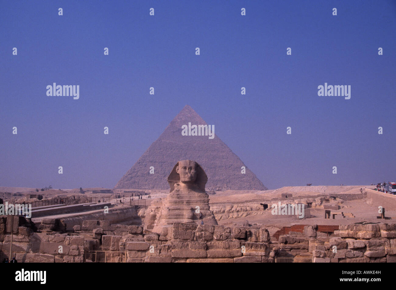 Sphinx and pyramids, Cairo Stock Photo