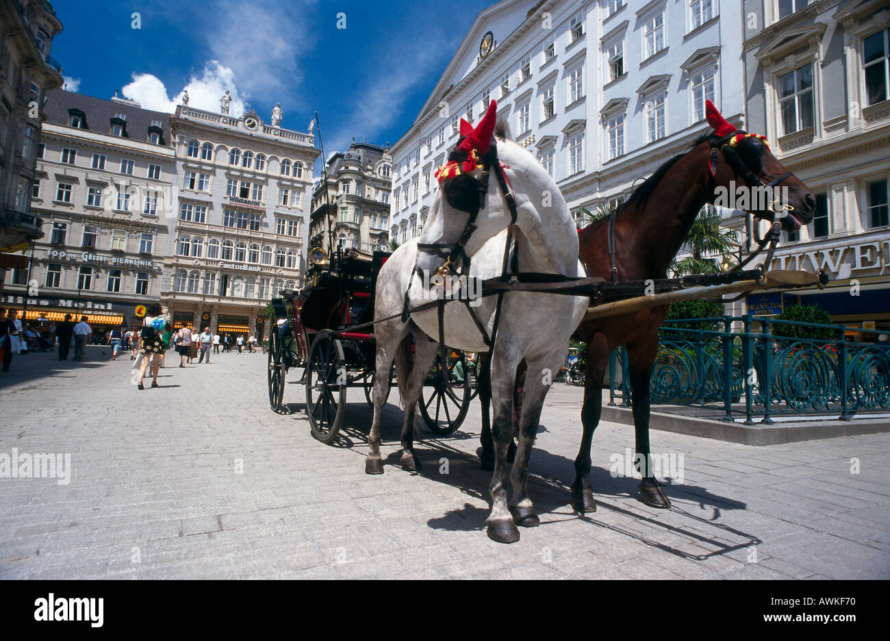Horse drawn carriage in the hi-res stock photography and images - Alamy