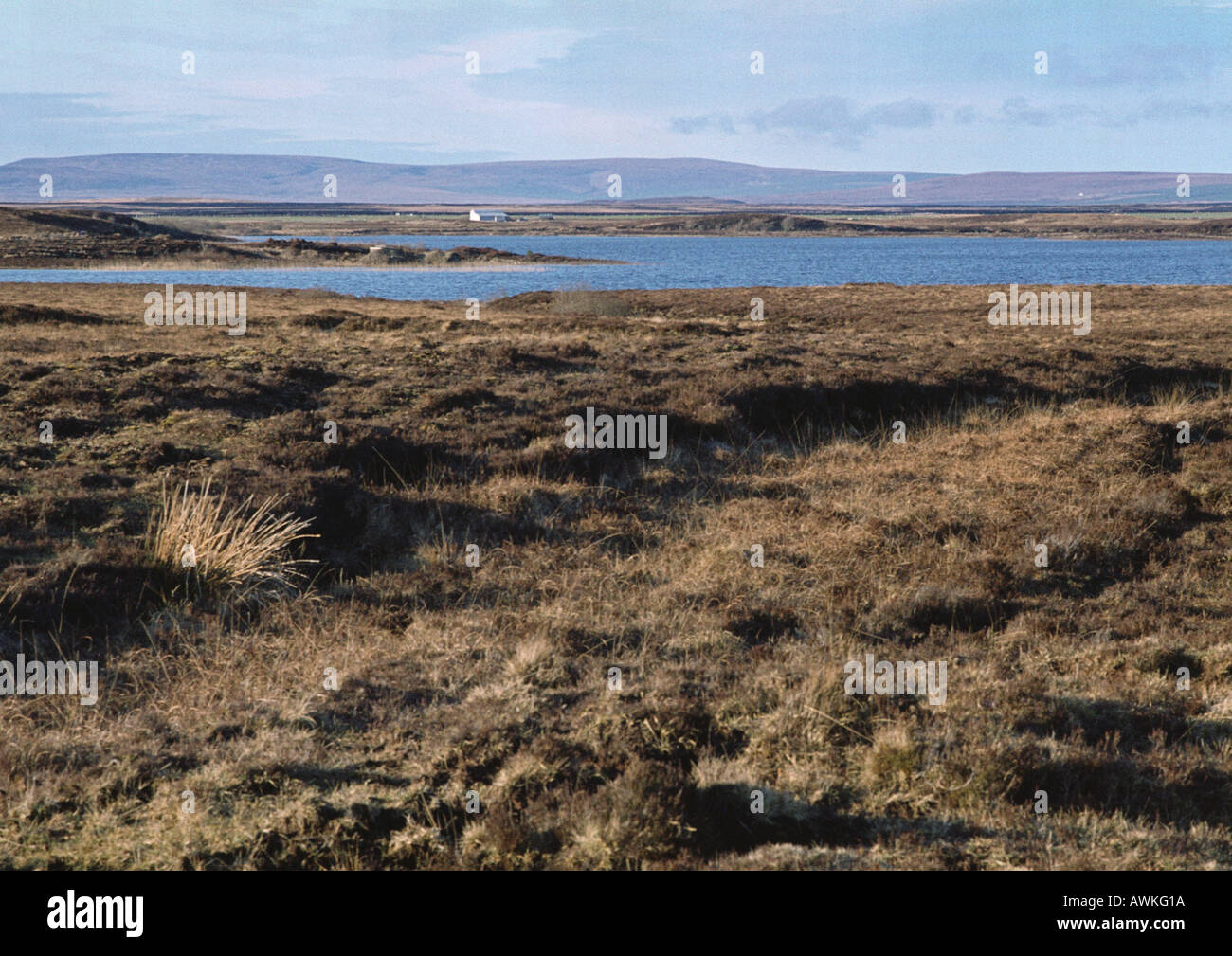 Coastal climates hi-res stock photography and images - Alamy