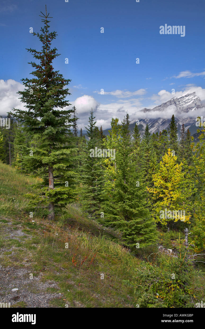 High res backgrounds hi-res stock photography and images - Alamy