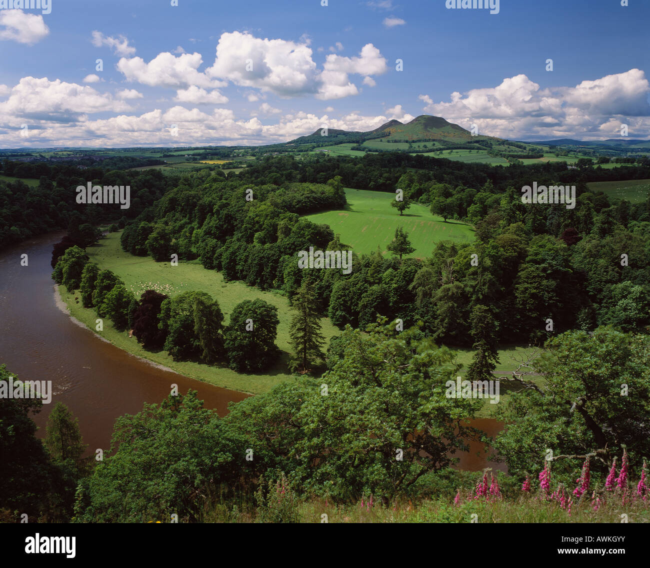 Scott s viewpoint hi-res stock photography and images - Alamy