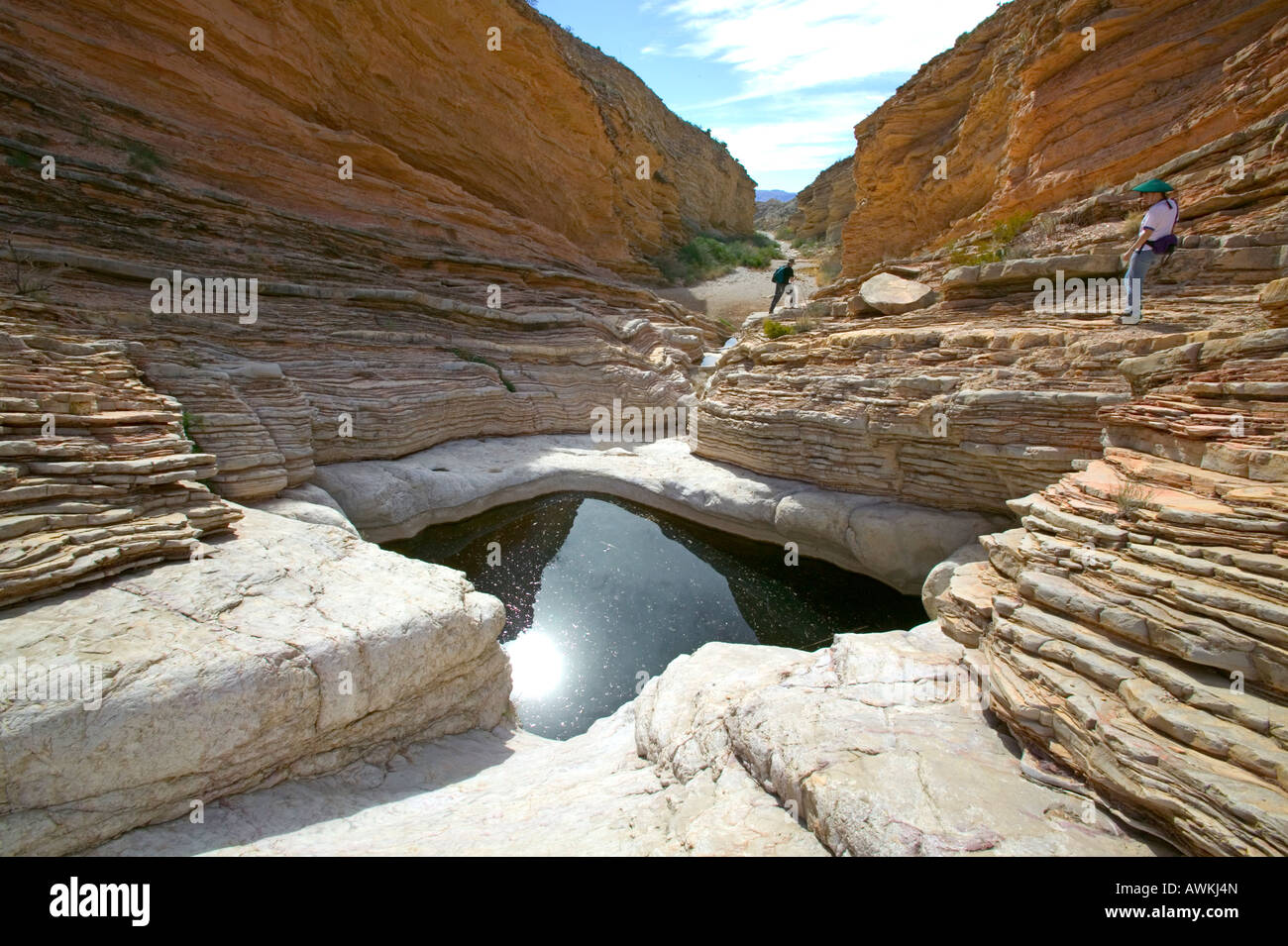 Ernst tinaja or waterhole in the limestone formation of Ernst Canyon Big Bend National Park TX Stock Photo