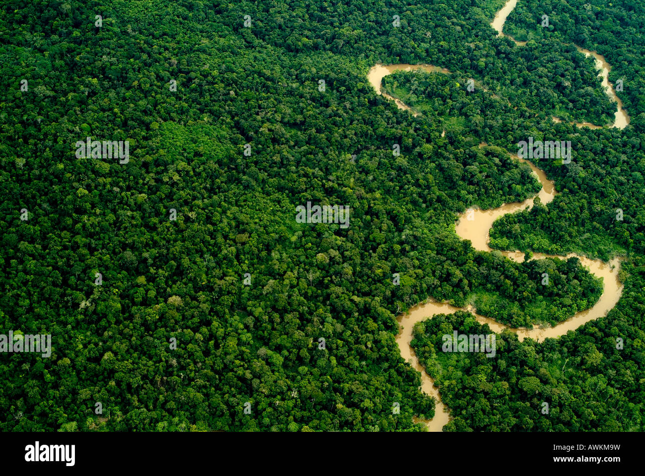 Rainforest River or Stream aerial Amazon Peru Stock Photo