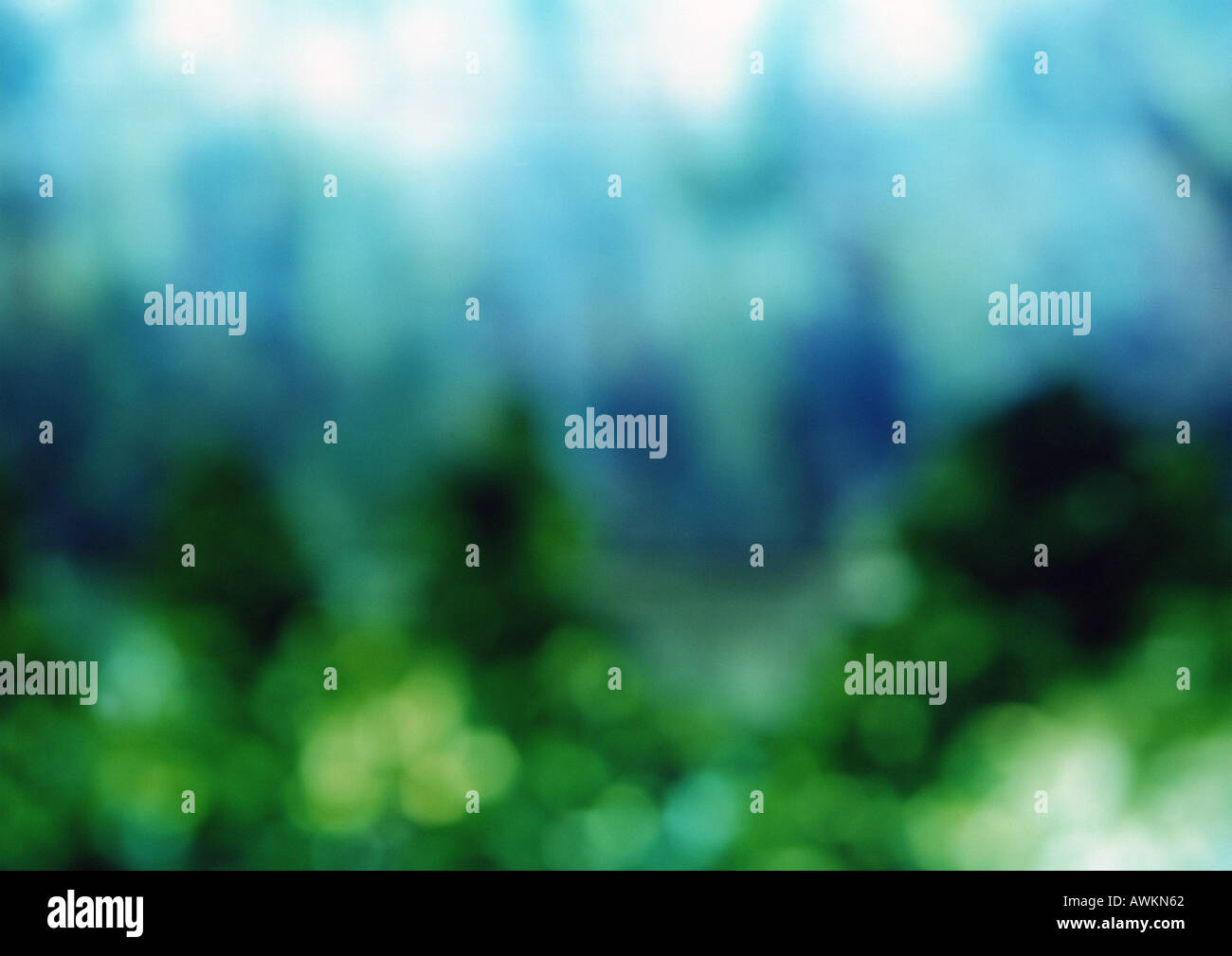 Landscape, blurred Stock Photo