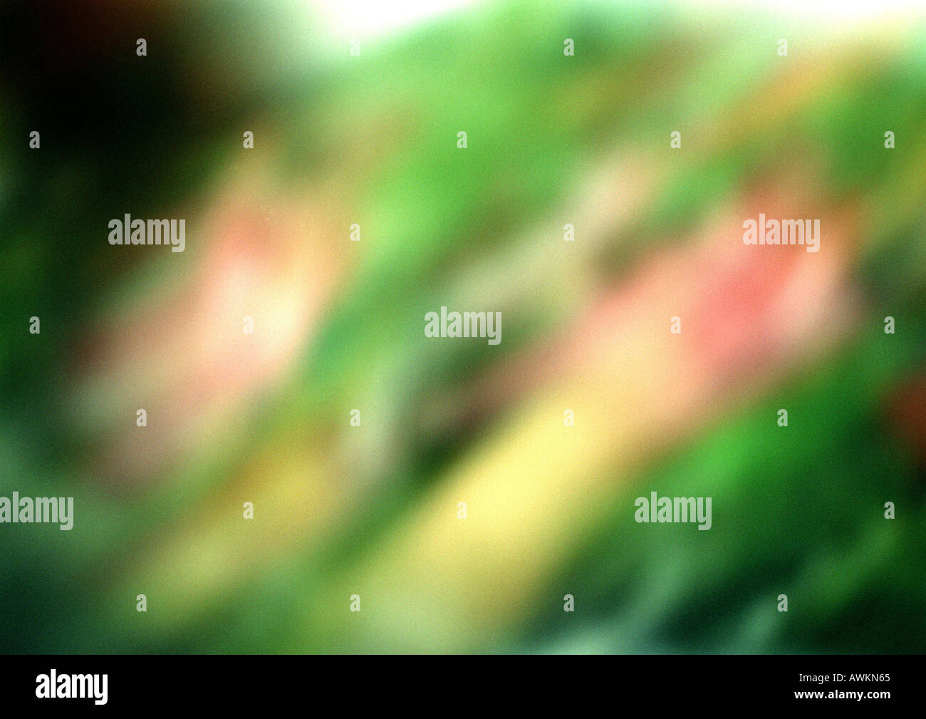 Painting, blurred Stock Photo