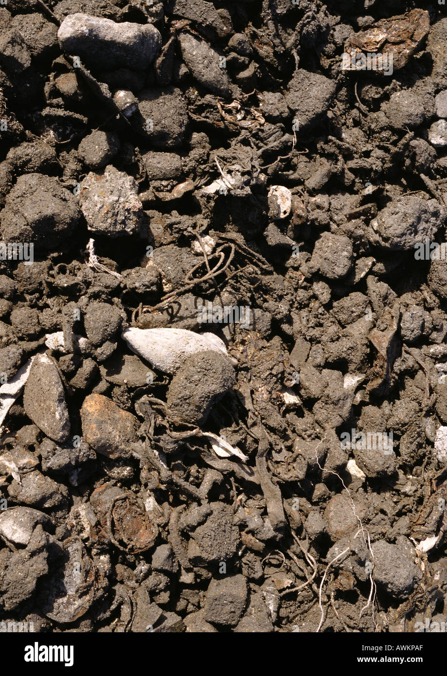Dirt and rocks with bits of trash Stock Photo Alamy