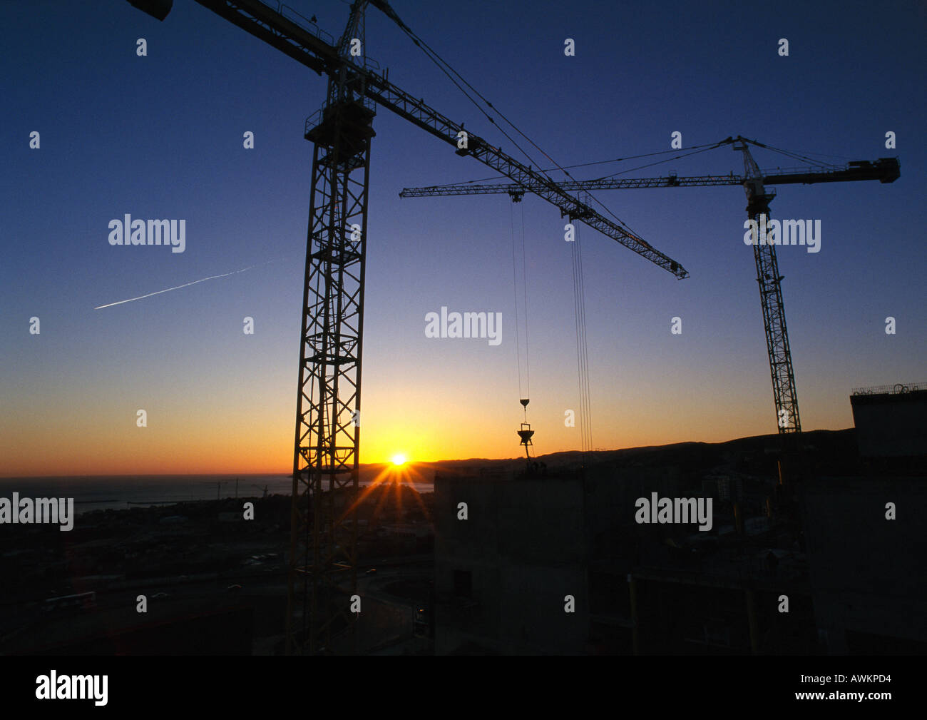 Cranes at sunrise Stock Photo