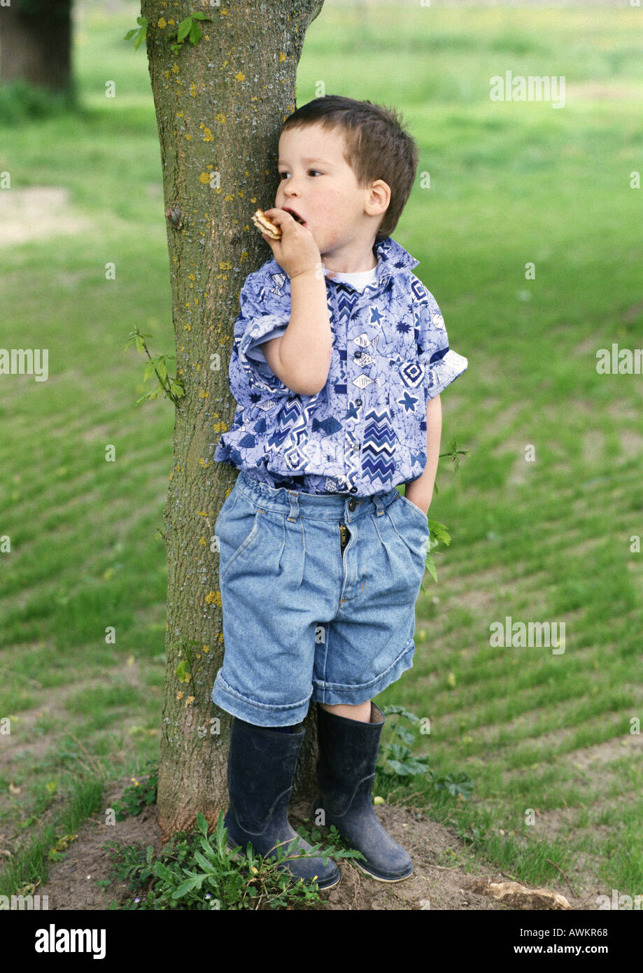 Little boy standing behind a tree Stock Photo