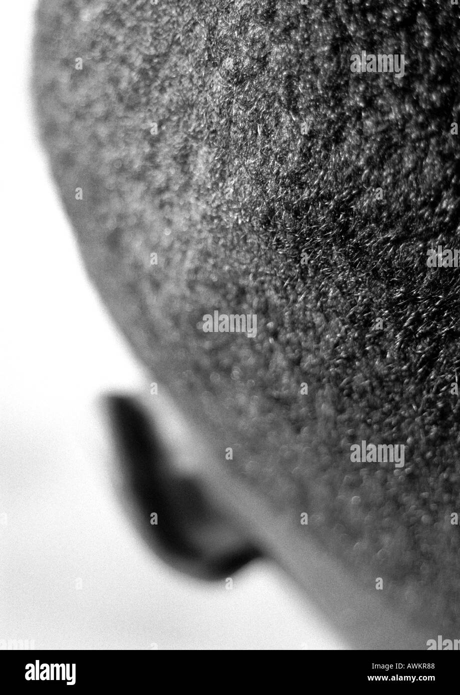 Rear view african boy hi-res stock photography and images - Alamy