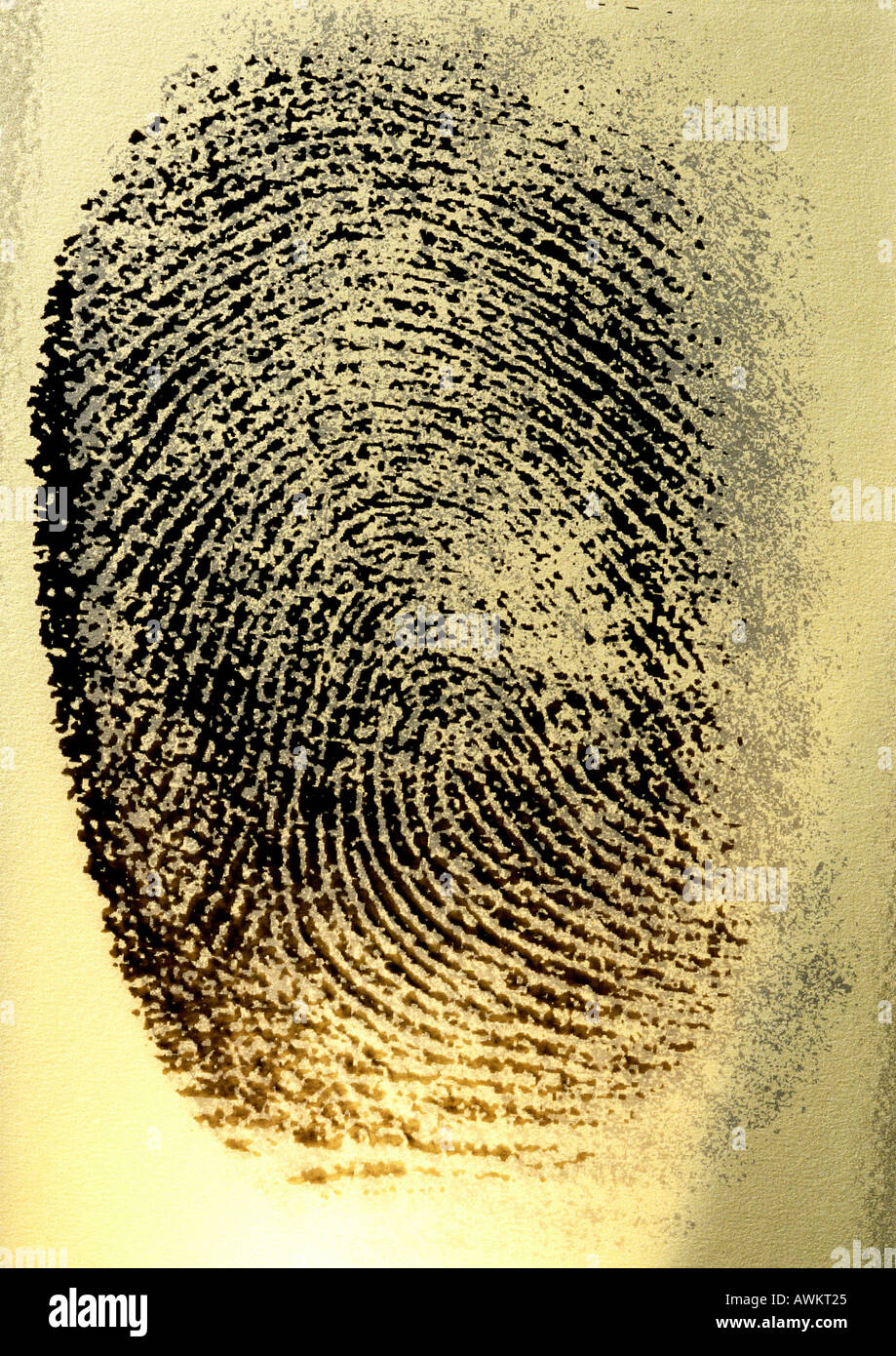 Fingerprint patterns hi res stock photography and images Alamy