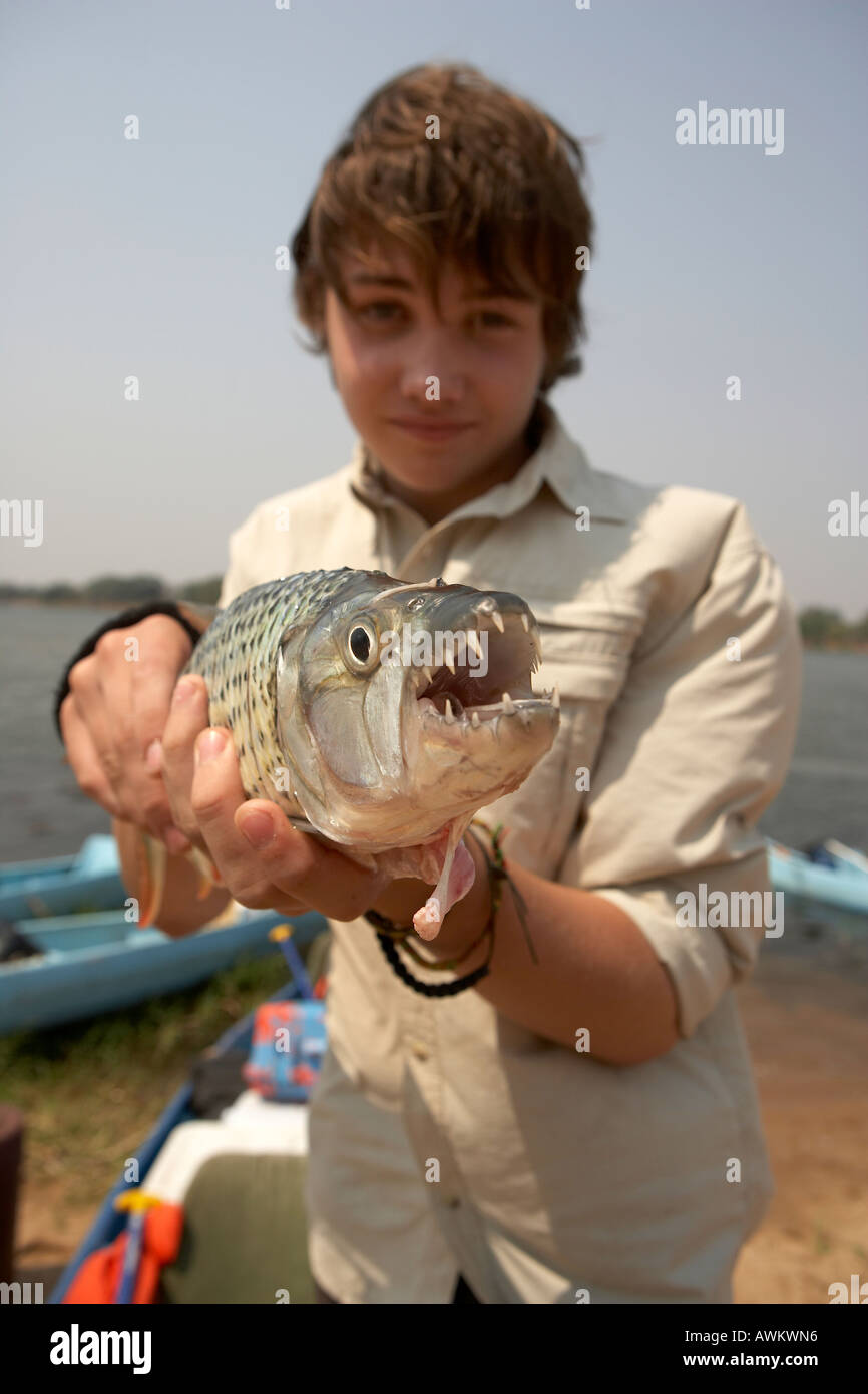 Young boy angler with a tigerfish Hydrocynus vittatus caught on the Lower Zambezi River Zambia Zimbabwe Africa Stock Photo