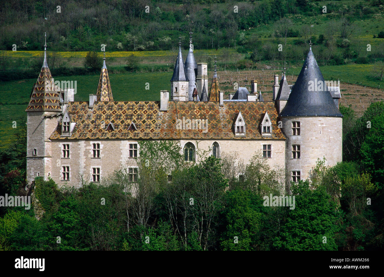 Facade of castle, France, Europe Stock Photo
