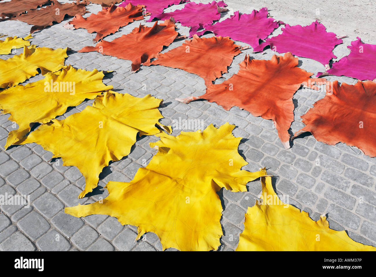 Animal skins hi-res stock photography and images - Alamy