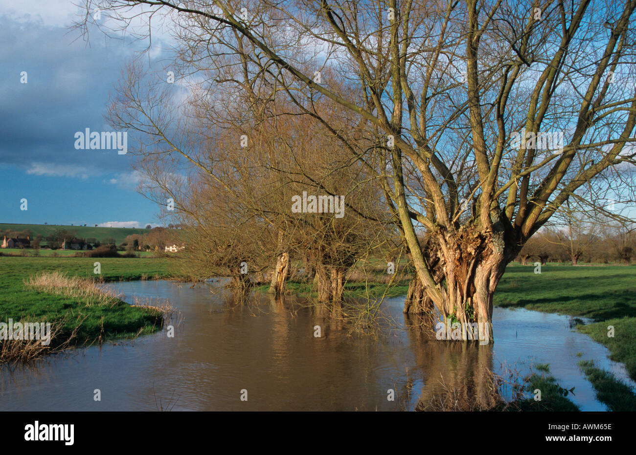 River Thame In Flood Oxfordshire UK Stock Photo