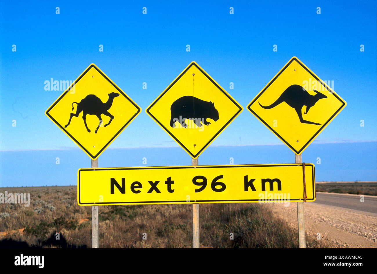 Close-up of animal crossing signs at roadside, Australia Stock Photo - Alamy