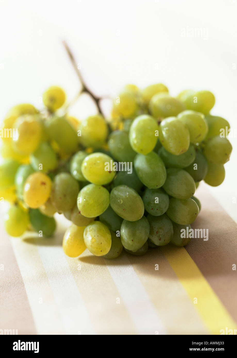Green grapes images hi-res stock photography and images - Alamy
