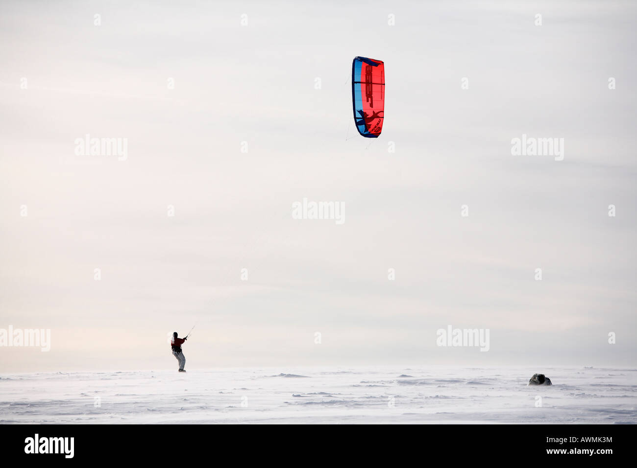 Snowkiting, kiteskiing, Mt. Wasserkruppe, Rhoen Mountains, Hesse, Germany, Europe Stock Photo