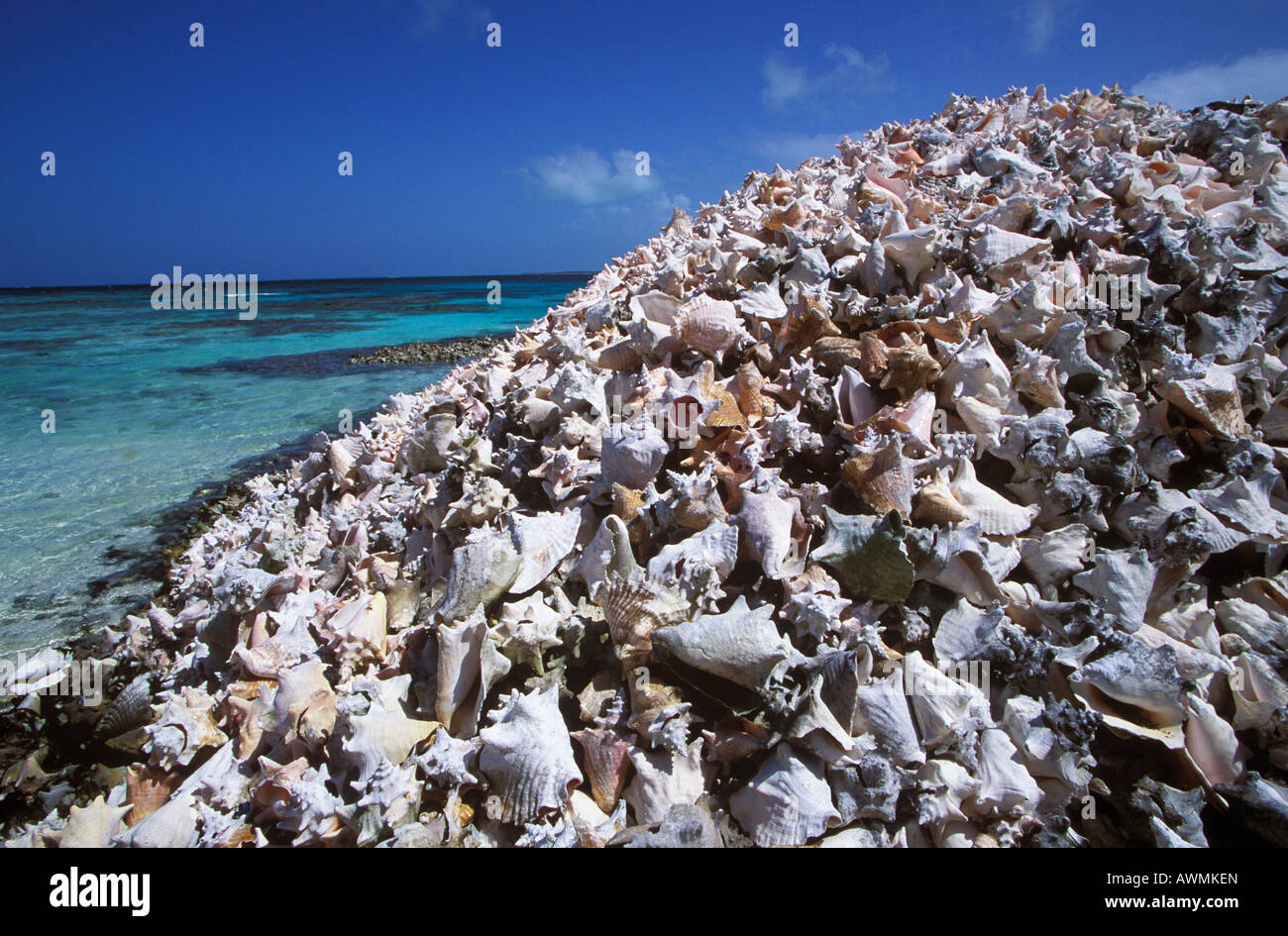 Seashell hill, fishermen's waste on Cayo Crasqui Island, Islas Los Roques, Venezuela, Caribbean Stock Photo