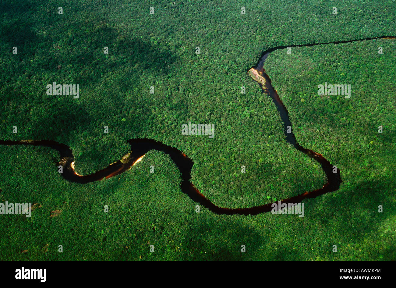 Aerial shot of Rio Churun (Churun River) and rainforest, Gran Sabana, Venezuela, South America Stock Photo