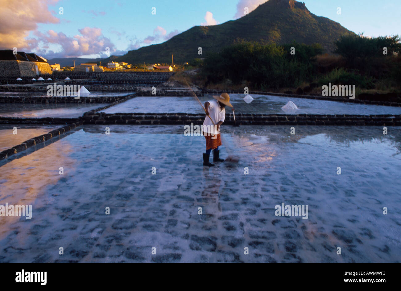 Tamarin Mauritius Salt Pans Worker Raking Salt Stock Photo