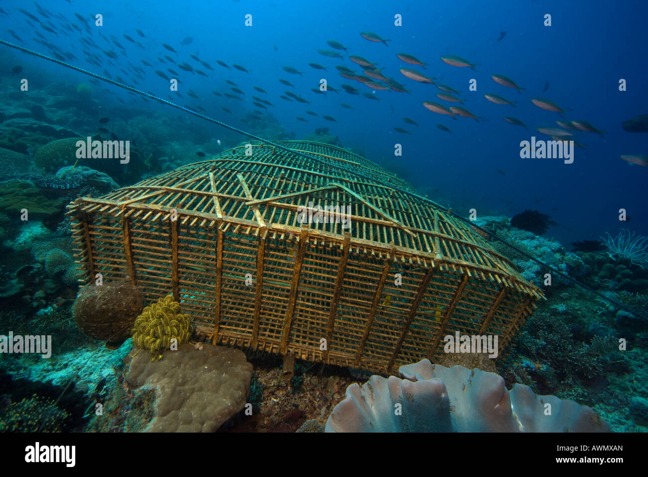 A simple weir-basket to catch fish, Indonesia. Stock Photo