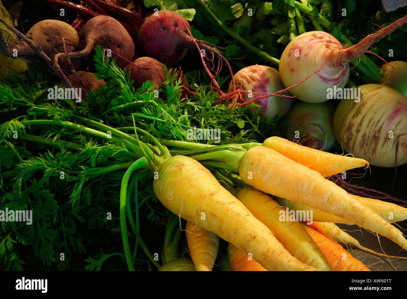 Carrots and beats Stock Photo