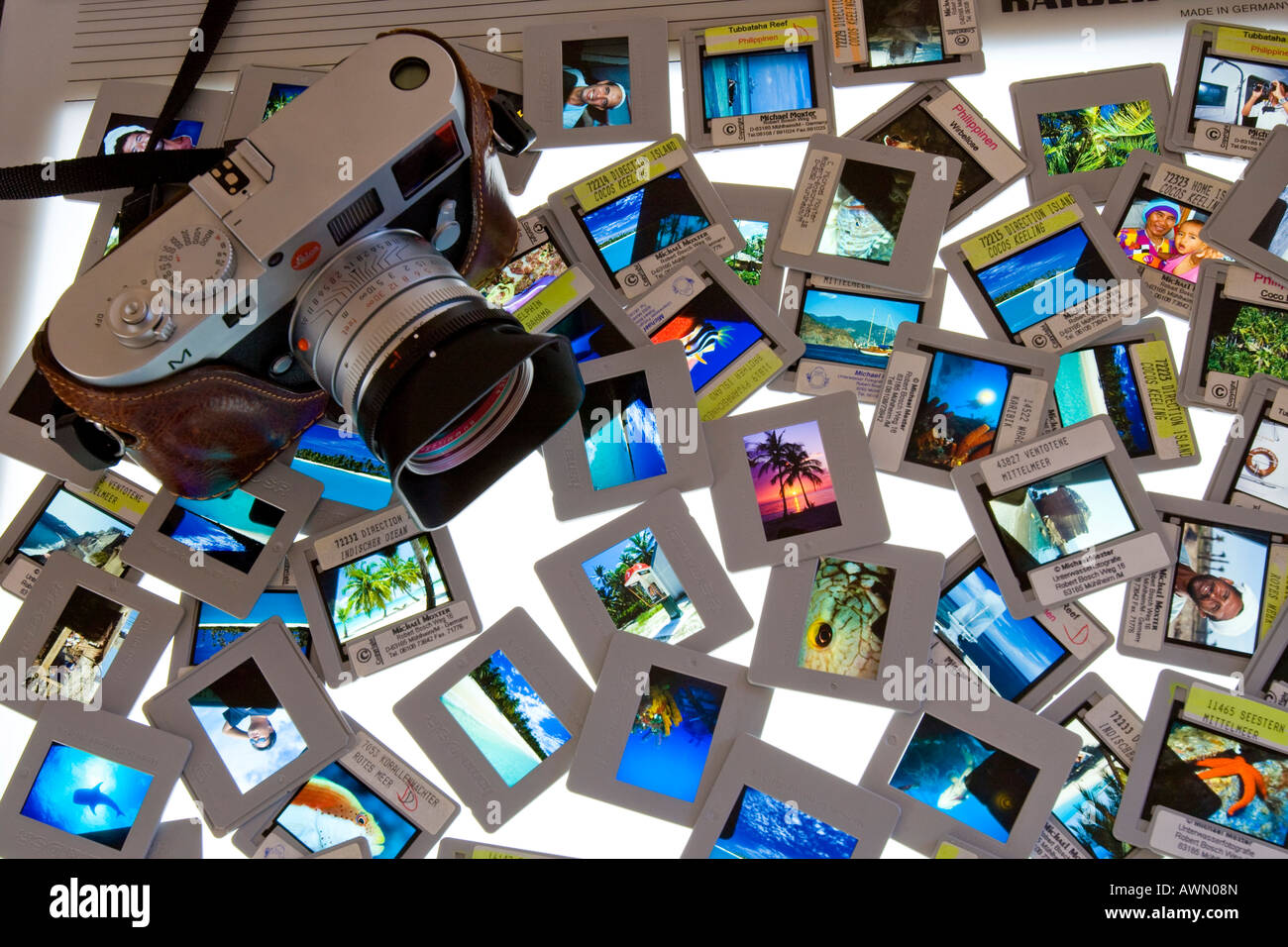 Slides laid out on a light-table, lightbox Stock Photo
